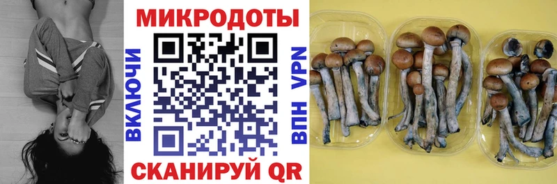 Галлюциногенные грибы прущие грибы  Купить закладки  Тобольск 
